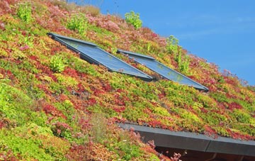 Mardleybury living roof systems